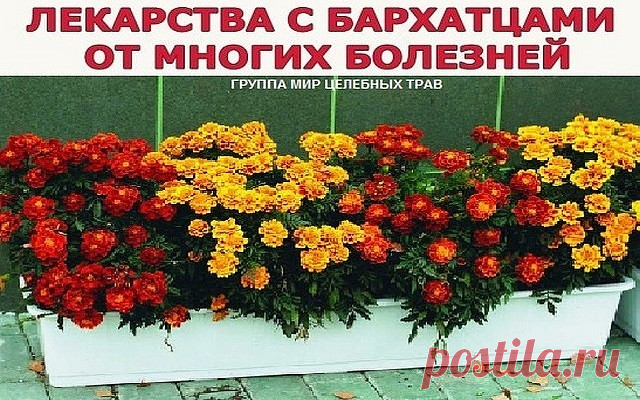 (78) Одноклассники