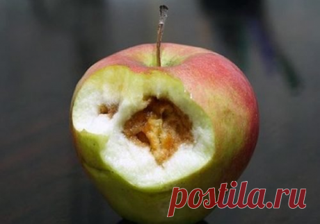 Почему яблоки буреют внутри во время хранения