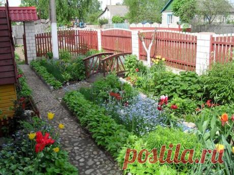 Цветник на даче своими руками