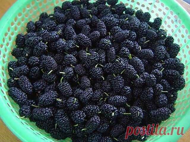 город ХУДЖАНД ленинабад ПРИСОЕДИНЯЙСЯ
30 лет, Таджикистан, Худжанд