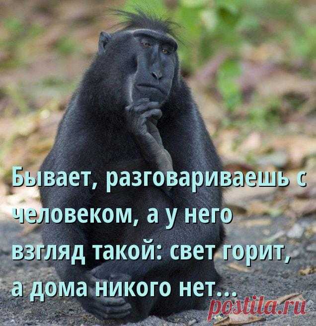 Шуточки и анекдоты в картинках, чтоб посмеяться от души После тяжелого рабочего дня каждый из нас заслуживает на приятный отдых и заряд позитивных эмоций, который мы неустанно дарим Вам в виде самого свежего юмора с просторов Сети.
Очередная подборка шуточ...