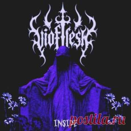 Vioflesh - Inside (2025) [Single] Artist: Vioflesh Album: Inside Year: 2025 Country: Chile Style: Synthpop, Electropop, Darkwave