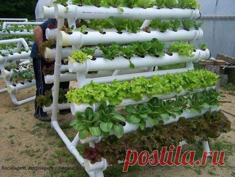 (99) Одноклассники