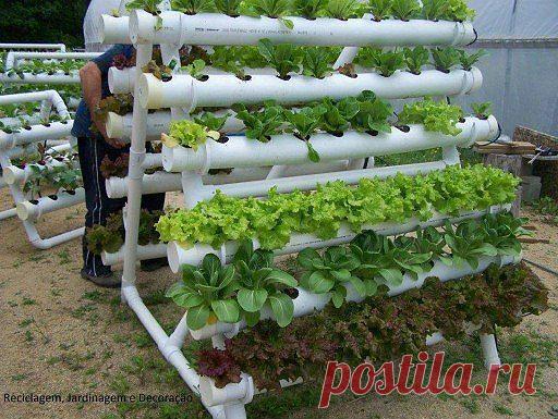 (99) Одноклассники