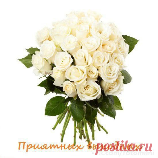 Ольга Алейникова