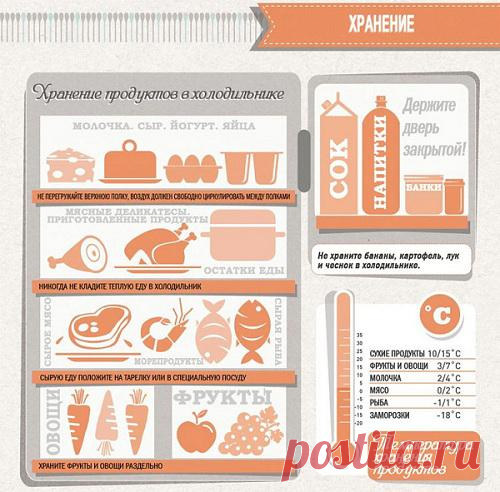Хранение продуктов питания в холодильнике: температура, высота, особенности. И пусть все продукты будут свежими и вкусными.