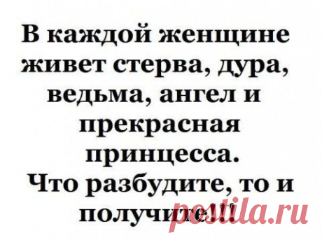 Воскресные картинки // ОПТИМИСТ
