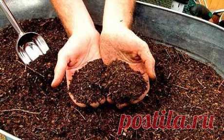 Лучшие удобрения для овощей