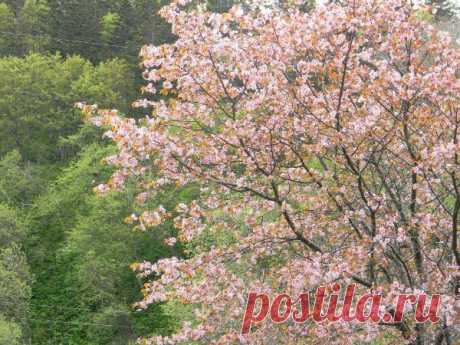 Фотографии Наталья Ляхова | 1303 фото