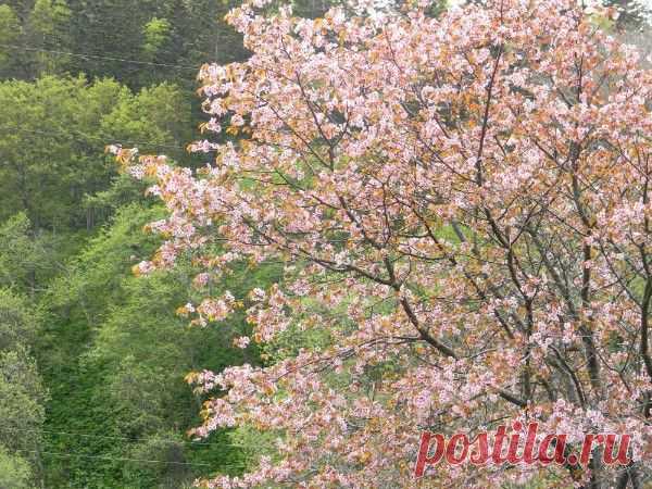 Фотографии Наталья Ляхова | 1303 фото