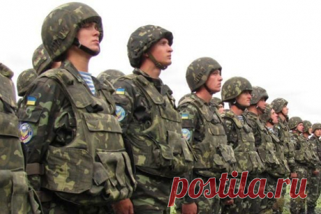 В армію призивають вибірково: мажорам повісток не вручають. «Дістало!» - «Дістало!»: репортажі, журналістські розслідування про те, що усіх нас так дістало