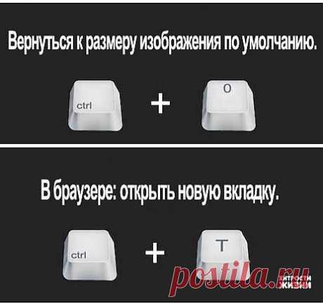 вернуться к размеру изображения