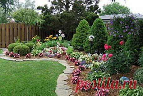Готовые схемы цветников и клумб из многолетников и однолетников
