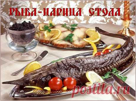 Дневник HyDuCTKA