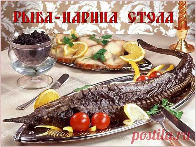 Дневник HyDuCTKA