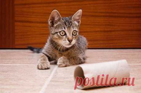 Мой Мир@Mail.Ru