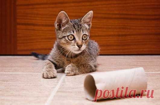 Мой Мир@Mail.Ru