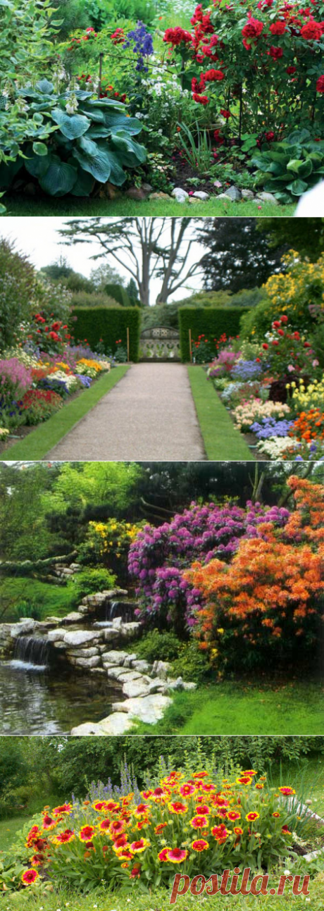 Какие неприхотливые цветы выбрать для клумбы | Цветовод-Консалтинг