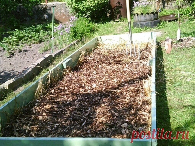 Для приготовления компоста по этому методу яма больше не понадобится | Делимся интересным способом | Огородик у дачи | Пульс Mail.ru