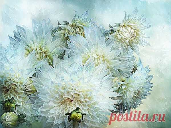 White Dahlias Mixed Media by Carol Cavalaris - White Dahlias Fine Art Prints and Posters for Sale