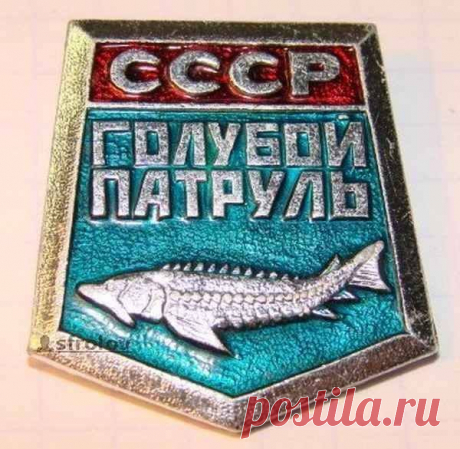 (2) Колорады, ватники и рашисты