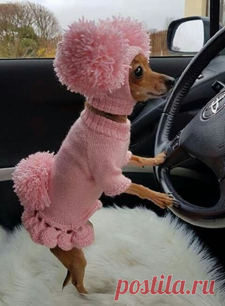 ЛЮБИМОЕ ВЯЗАНИЕ