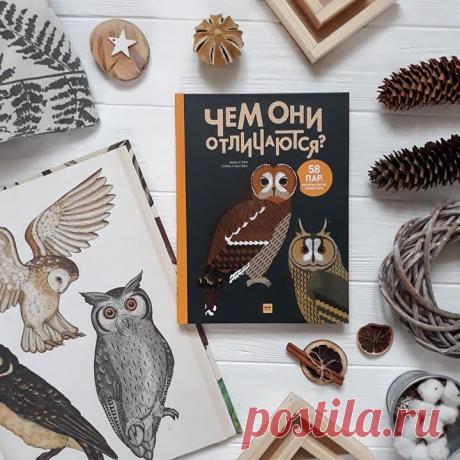Отзывом о книге «Чем они отличаются?» делится наша читательница Вика (@tory_denisenko в Инстаграме): «Когда о книге постоянно встречаешь восторженные отзывы, то невольно задумываешься, а действительно ли она так хороша? В случае с энциклопедией &quot;Чем они отличаются&quot; — да, действительно, ее стоит покупать. Во-первых, в ней есть информация для совсем малышей: отличия между совами, кроликом и зайцем, гагаркой и пингвином, верблюдами. Во-вторых, даже взрослым будет интересно узнать…