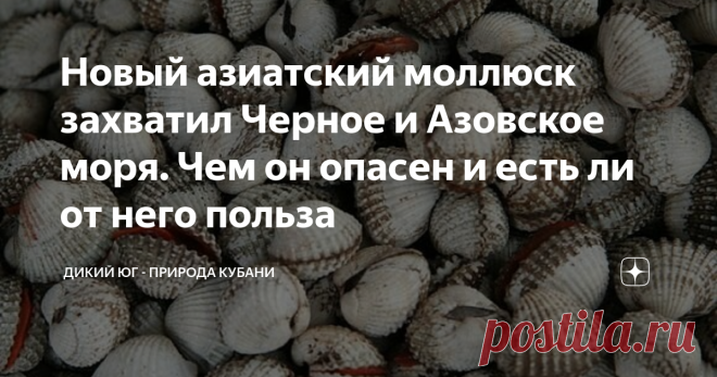 Новый азиатский моллюск захватил Черное и Азовское моря. Чем он опасен и есть ли от него польза Все знают историю появление рапана в Черном море, а позже и в Азовском, и чем это закончилось для местных двустворчатых. Но мало кто в курсе, что это не единственный дальневосточный моллюск, который в нашем регионе чувствует себя даже лучше, чем в своем родном. Через два десятка лет, после морской улитки, в Черном море нашли Anadara kagoshimensis. Это двустворчатый моллюск, внеш...
