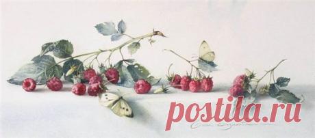 Цветочное да ягодное. Акварели Елены Базановой..