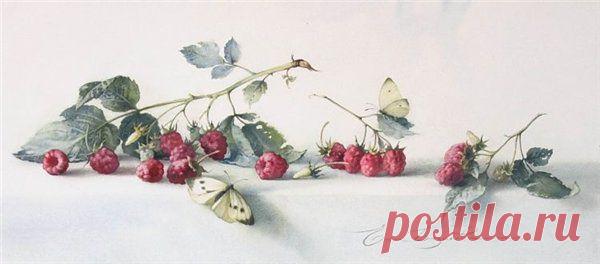 Цветочное да ягодное. Акварели Елены Базановой..