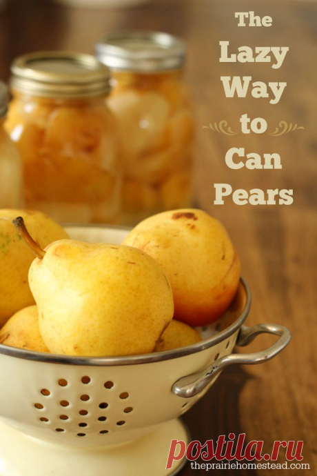 (461) How to Can Pears Without Sugar | Рецепт | Консервирование, Сахар и Консервированные Груши