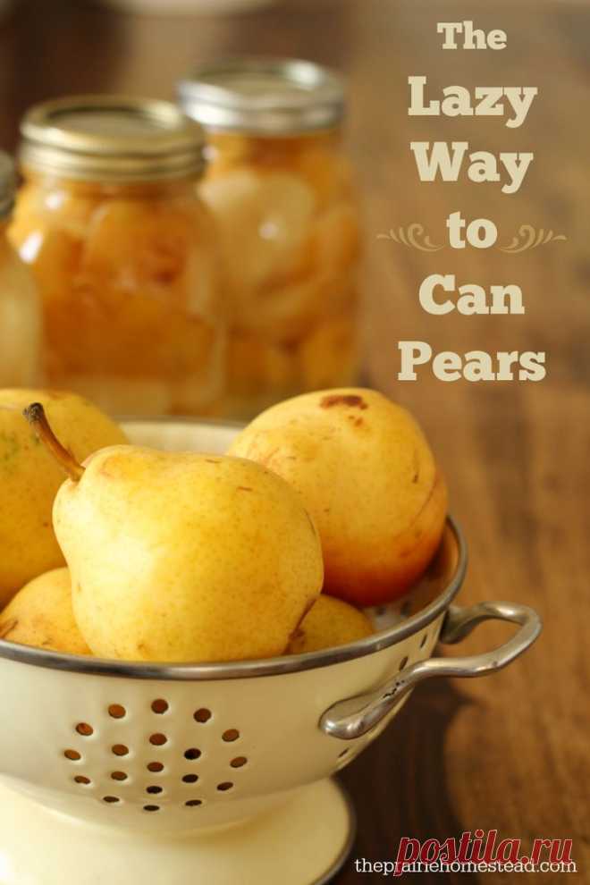 (461) How to Can Pears Without Sugar | Рецепт | Консервирование, Сахар и Консервированные Груши