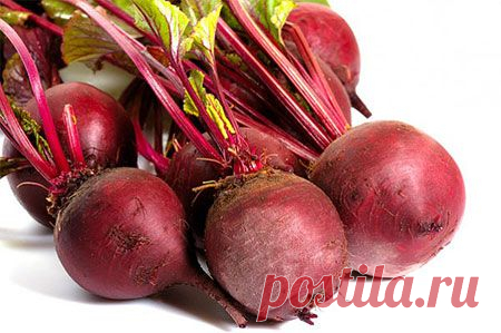 Свекла по всем правилам