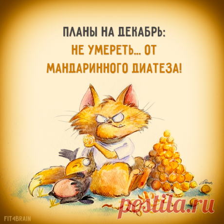Мандаринам быть или не быть, вот в чем вопрос