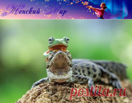 Царевна-лягушка: фантастические снимки индонезийского фотографа