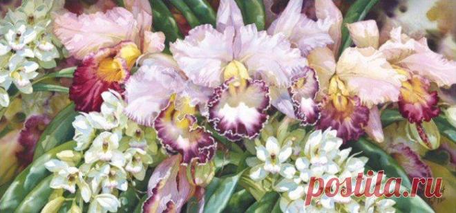 Деррил Тротт: «Цветы навсегда» | Женские страсти