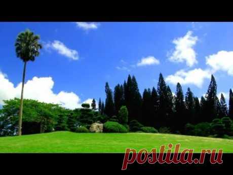 RELAX TV - 3 hours of Relaxing Music, Soothing Nature Sounds, Ambient Music