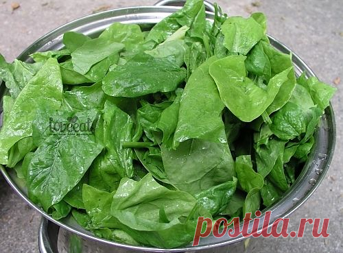 Готовим спаржу и шпинат с Джулией Чайлд - LoveEat - Гастрономическая Социальная Сеть