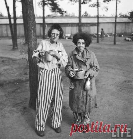 15 редких фотографий из фашистских лагерей смерти, сделанные в последние дни войны