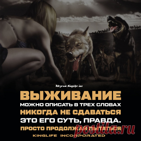 Больше Мотивации у нас в Телеграм канале ☝   | 

цитаты | цитаты со смыслом | цитаты со смыслом про жизнь | цитаты со смыслом | мотивационные цитаты | 
мотивационные цитаты спорт | мотивационные цитаты обои | мотивационные цитаты для учебы | мотивационные цитаты видео | 
мотивационные цитаты эстетика | мотивация | мотивация к учебе | мотивация на день