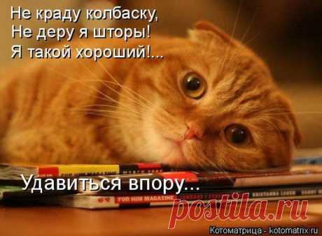 колбасы тебе я дам,                                                                                                  шторочки заштопаю                                                                                                 и уходить ты не спеши                                                                                                 ведь ты такой хороший...