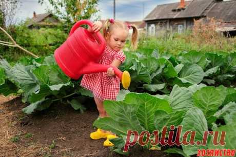 Что и когда сеять Не все культуры высевают на грядках одновременно. Есть разные группы овощей: холодостойкие, которые сеют сразу по оттаявшей земле, и теплолюбивые, сев которых проводится только тогда, когда почва как …