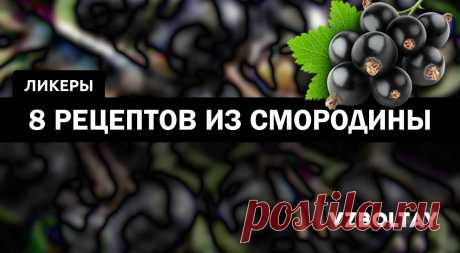 Смородиновый ликер: 8 рецептов в домашних условиях