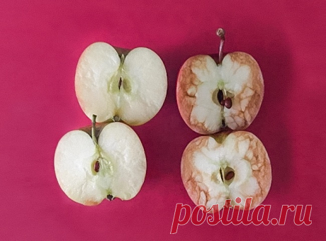 Учительница придумала отличный способ объяснить детям, к чему приводят издевательства