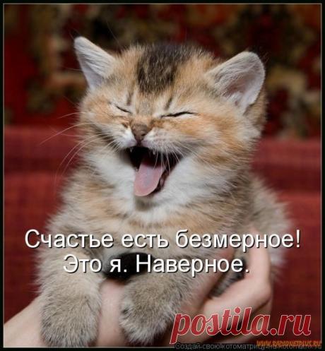 Уфф!!! Ну наконец-то! Котоматрицы великолепные, каждая с улыбкой и хорошим настроением!