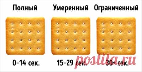 Крекер-тест, который поможет определить, какой у вас метаболизм | Болтай