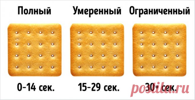 Крекер-тест, который поможет определить, какой у вас метаболизм | Болтай