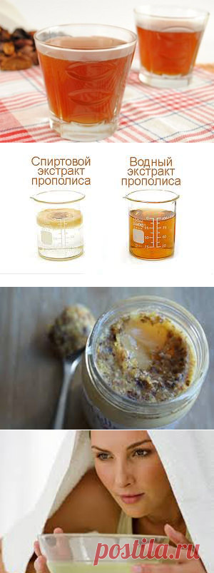 Прополис – лечение и применение, лечебные и полезные свойства прополиса. Настойка прополиса в домашних условиях