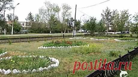 Моя родина