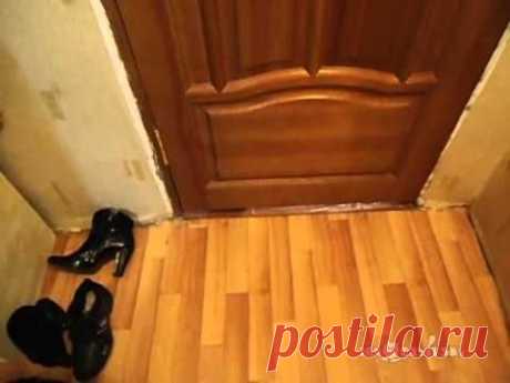 Slipper Thief / Больше, больше тапочек! - YouTube